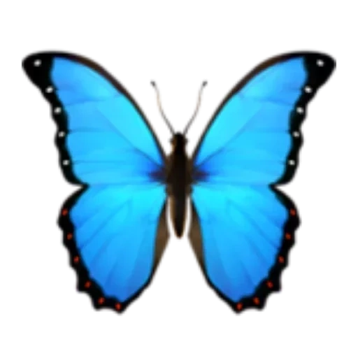 синяя бабочка, эмодзи бабочка, бабочка бабочка, бабочка эмоджи ава, бабочка смайлик айфон