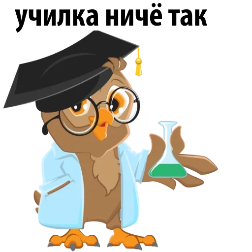 owls are clever, owl chemist, the pedant owl, teacher owl, illustration school