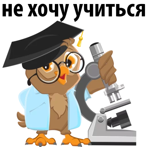 owl chemist, the pedant owl, chalk plate, illustration school