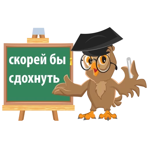 owl, zygomatic tester, september 1, the pedant owl, teacher owl