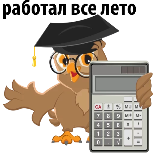 coruja, 1 de setembro, coruja escolar, professor coruja, calculadora de coruja