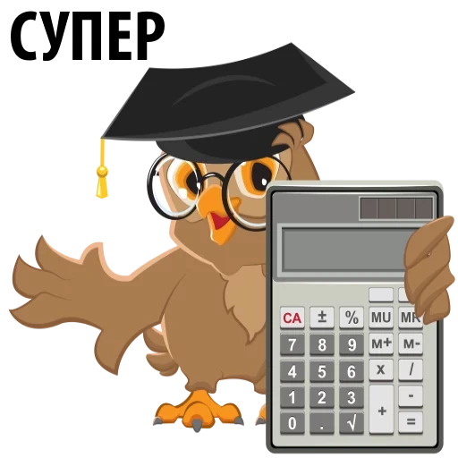 professor coruja, calculadora de coruja, matemática de coruja inteligente