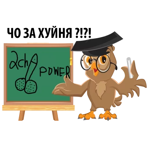 owls are clever, the pedant owl, teacher owl, owl math teacher, owl is a symbol of wisdom and knowledge
