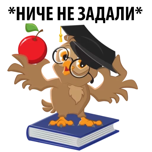 coruja inteligente, coruja do conhecimento, coruja inteligente, coruja escolar, professor coruja