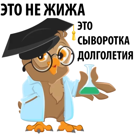 september 1, owls are clever, the pedant owl, teacher owl, illustration school