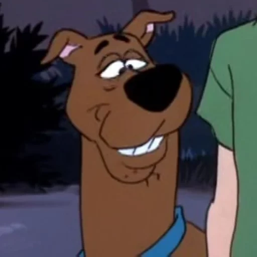 scooby, skubi-do, skubi-do snuki, bürsten ist lustig, quetschende wagt