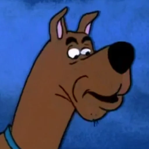 skubi-do, skububi du 1969, skububi du 1976, scooby doo 1969, i personaggi sono skubi du