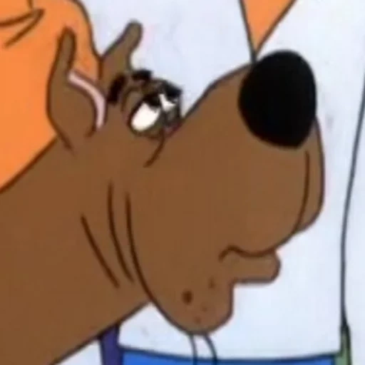 scooby, scooby doo, scooby doo du sts 2005, o papel do scooby doo, scooby doo pare de tirar fotos