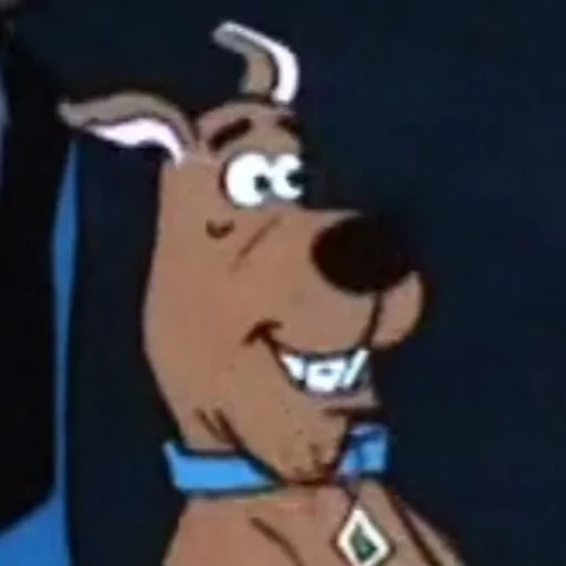 scooby, guru, scooby-doo, scooby doo meme, scooby doo tertawa