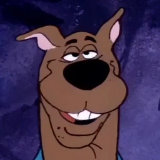 scooby, scooby doo, scooby doo 1, le visage de scooby doo, dessins animés de scooby doo