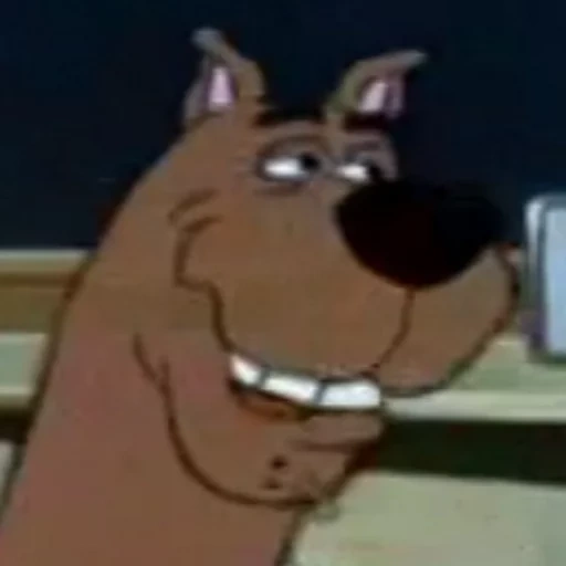 scooby, masculino, scooby doo, o rosto de scooby doo, cartoon scooby doo