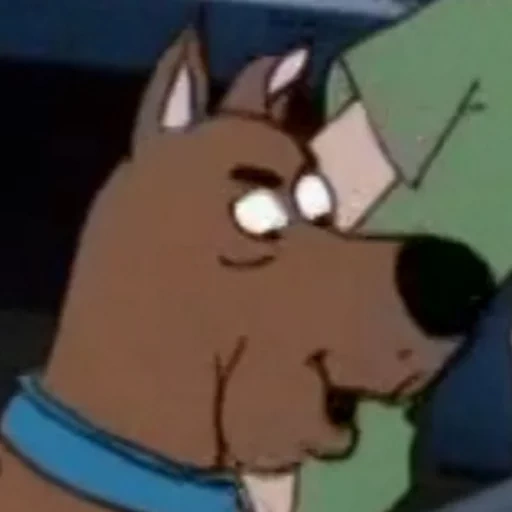 scooby, scooby-doo, scooby doo meme, scooby doo shaw, karakter scooby doo