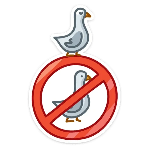 seagull, prohibition sign, don't feed pigeons, pigeons passing by, it is forbidden to feed pigeons