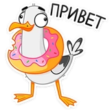 Чайка Сэм (@TgSticker)