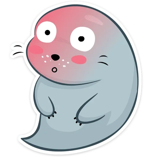 seal, anjing laut asrama, anjing laut yang lucu