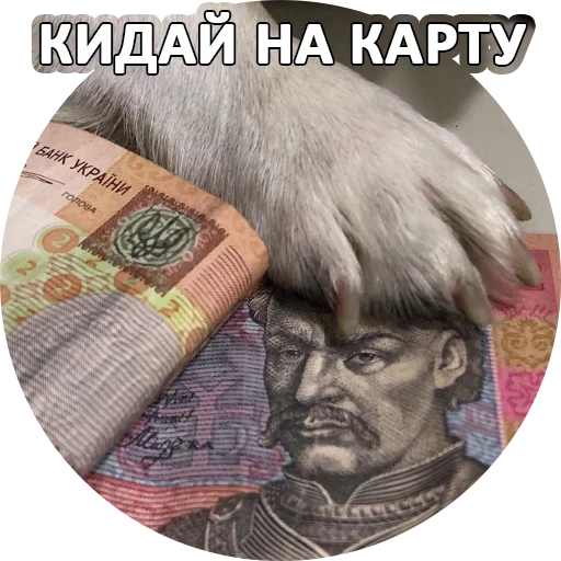 monnaie, billets, argent, grivna, rouble hryvna
