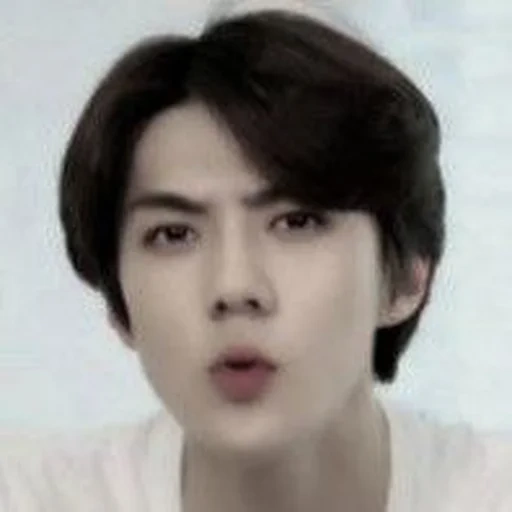 wajah, sehun, exo sehun, park chang yeol, exo baekhyun