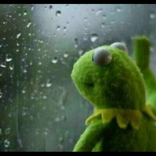 rain outside the window, cermit is sad, frog cermit, cermit by the window rain, the frog kermite is sad