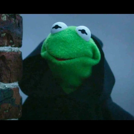 kermit, a toy, mappet show, dark cermit, frog cermit