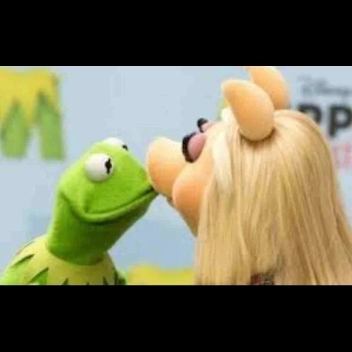 pertunjukan muppet, the muppet show kermit, nona kermit piggy, nona piggy frog kermit, little piggy frog kermit miss love
