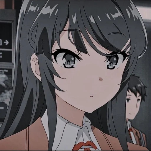 anime girl, sakurajima, anime charaktere, seishun buta yarou, seishun buta yarou wa bunny