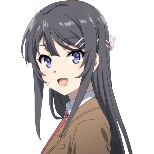 sakuraudzima, possa sakurajima, sakurajim may, seishun buta yarou, seishon buta yarou wa bunny