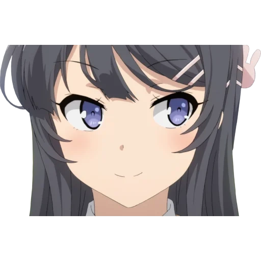 sakura island, sakura shimei, personagem de anime, seishun buta yarou, seishun buta yarou wa bunny