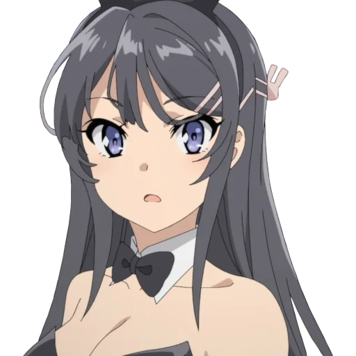 sakura shimei, sakura shimei, seishun buta yarou, seishun buta yarou wa bunny, seishun buta yarou wa bunny girl