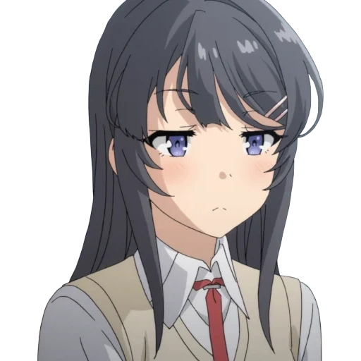 que sakuraudzima, sakurajim puede, seishun buta yarou, seishon buta yarou wa bunny, seishon buta yarou wa girl girl