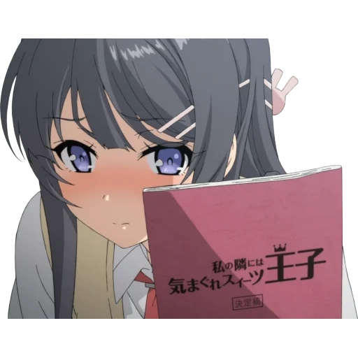 fille animée, filles anime, personnages d'anime, seishun buta yarou, seishon buta yarou wa lunny