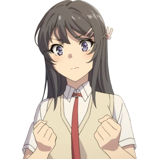 sozialer reichtum, sakurajima, sakurajima, seishun buta yarou, seishun buta yarou wa bunny