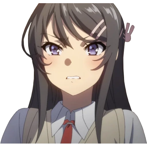 sakuraudzima, que sakuraudzima, sakurajim puede, seishun buta yarou, seishon buta yarou wa bunny