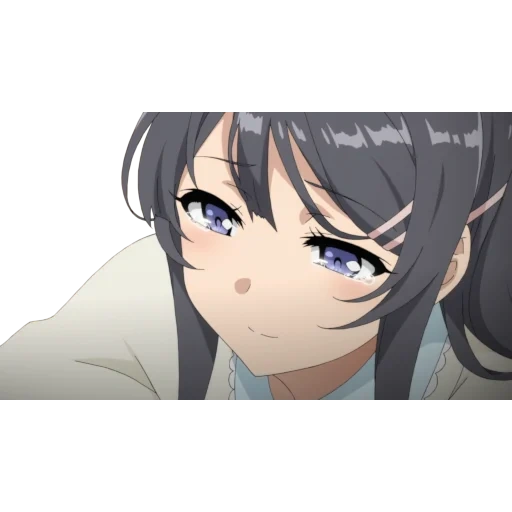 персонажи аниме, seishun buta yarou, seishun buta yarou wa bunny, seishun buta yarou wa bunny girl, аниме seishun buta yarou wa bunny