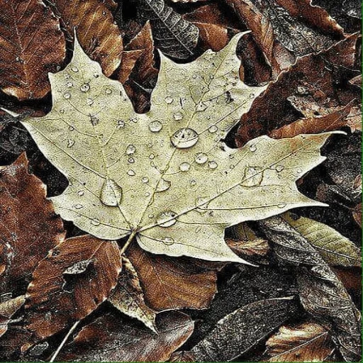 осень листва, кленовый лист, осенние листья, падающие листья, осень листья дождь