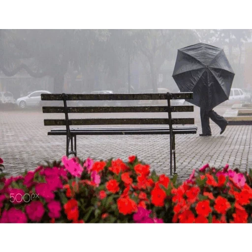 дождь, скамейка зонтом, осень дождливая, защита от дождя, скамейка под дождем