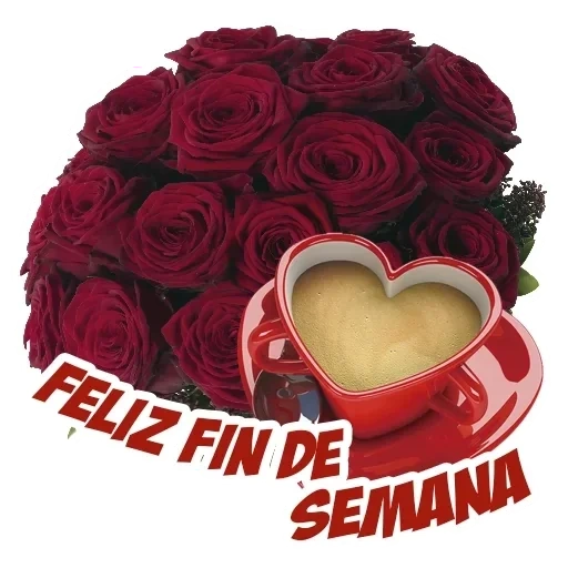 postal, postal, hermosas flores, un ramo de rosas rojas, hermoso ramo