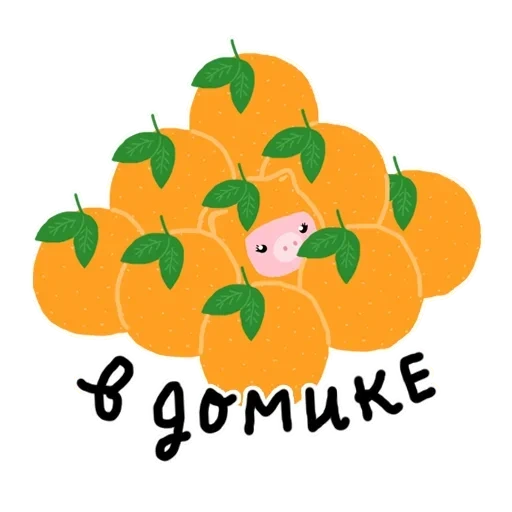 fruta, mandarín, fruta de naranja, putonghua raster, naranja naranja