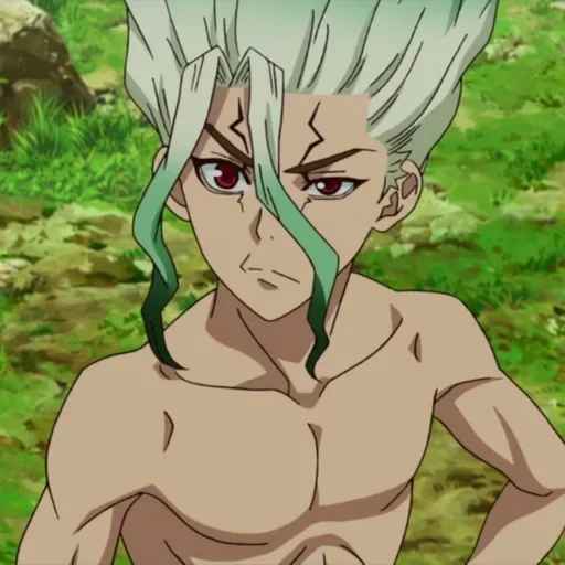 dr stone, dr stone os, senka dr stone, dr stone army tsukasi anime