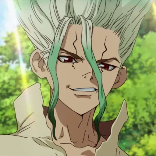 dottor stone, ishigami senku, dr stone senku, dr stone anime, dr jingwu stone