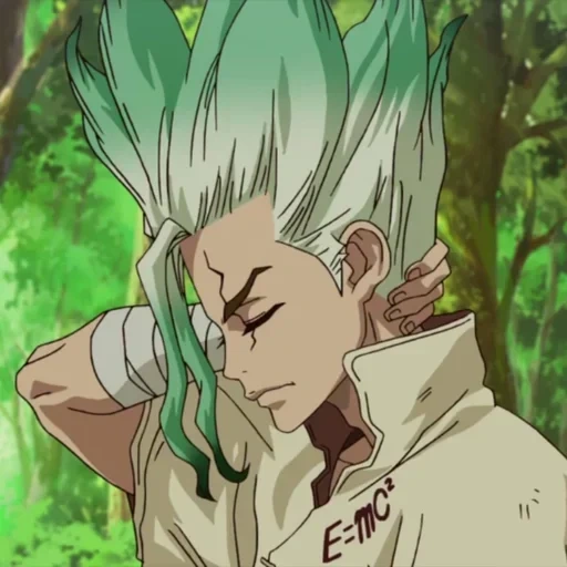 dr stone, anime dr stone, dr stone senka, sanka dr stone, dr stone anime gehen