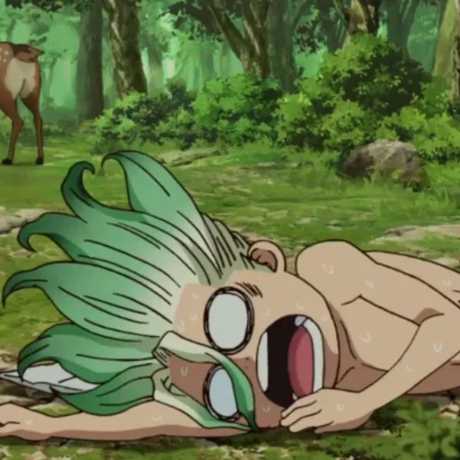 anime, fictional character, dr stone anime kadra, anime dr stone senka, anime dr stone khomura