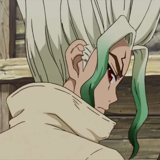 dr stone, le dr stone a coulé, agawa dr stone, dr stone senka, dr stone anime