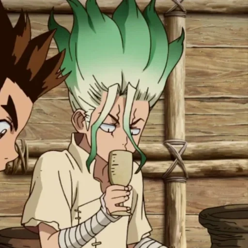 dr stone, suiko dr stone, senka dr stone, dr stone tagge, anime dr stone senka