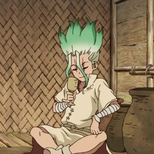 anime de pierre, dr stone anime, senka dr stone, dr stone tagge, anime dr stone senka