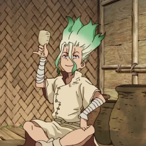 dr stone, ishikami senku, anime dr stone, senku stone, anime dr stonesenku