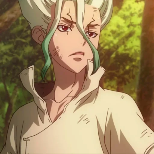 dr stone, toshiya ishikami, stone sangku, senku stone, hamura stone