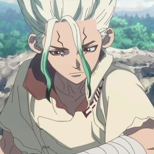 dr stone, senka ishigami, hego dr stone, anime dr stone, dr stone senka ishigami