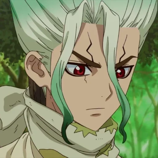 dr stone, senku ishigami, dr stone sank, dr stone senka, saika dr stone