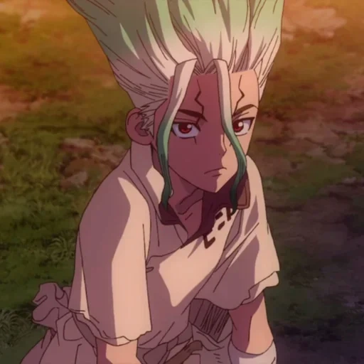 dr stone, dr stone 14h, dr stone connie, dr stone anime, anime dr stone senka