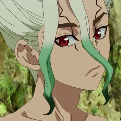 dottor stone, dr stone anime, anime dr stone, anime dr stone stagione 2, anime dr stone stagione 1